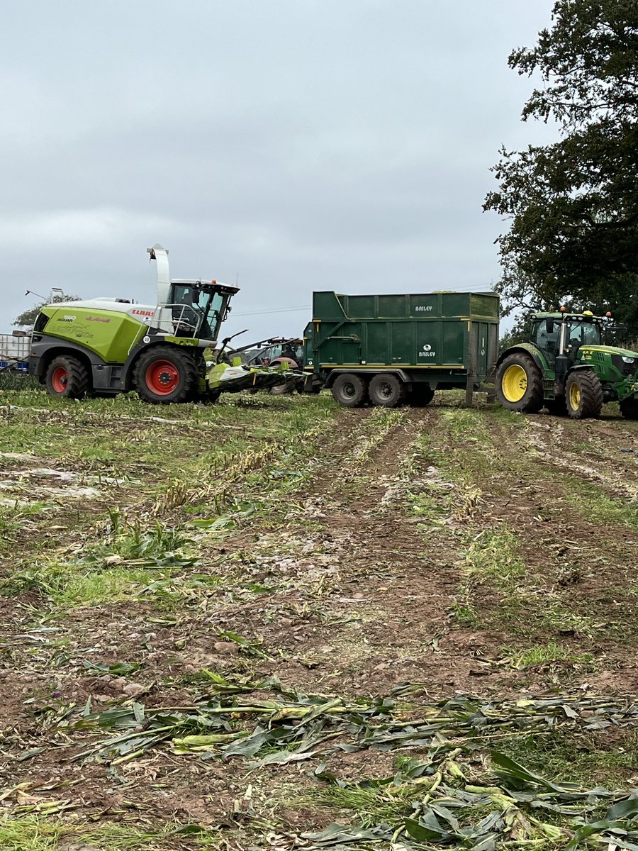 Jim Clark tweet media