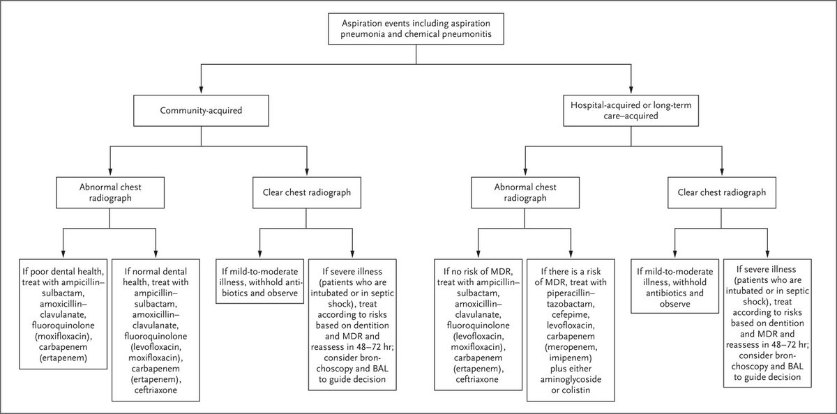 Timothy Li tweet media