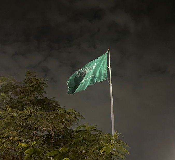 L0l0D's tweet photo. 23 September 2024 💚. 

#اليوم_الوطني_السعودي94 https://t.co/N4f4BR0RGB
