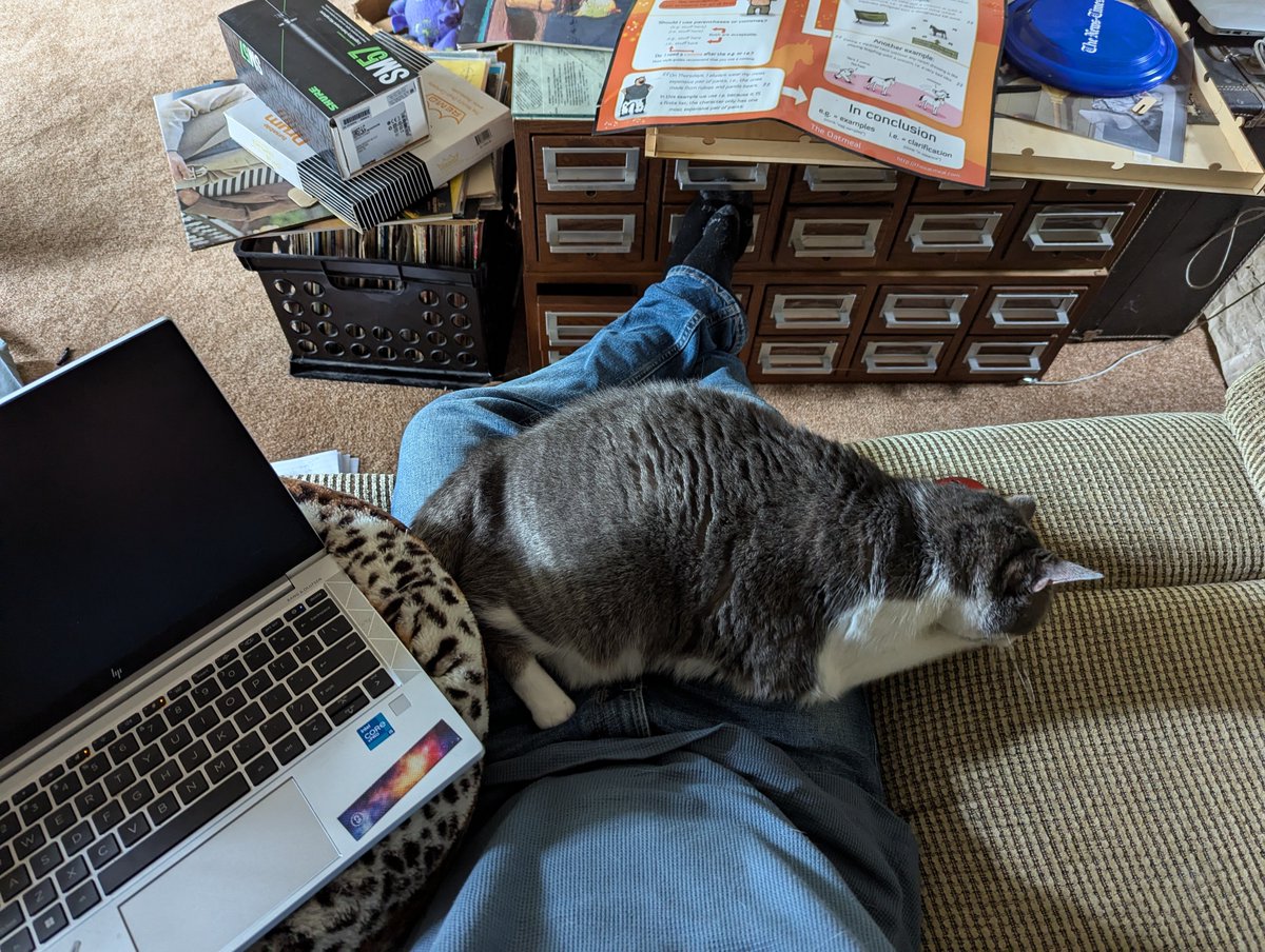 Rocketcat09's tweet photo. Today's remote work day. Dora is settled down into my lap. My computer is laying on the cat bed. Which makes sense, right? https://t.co/JjsUbnMKAY