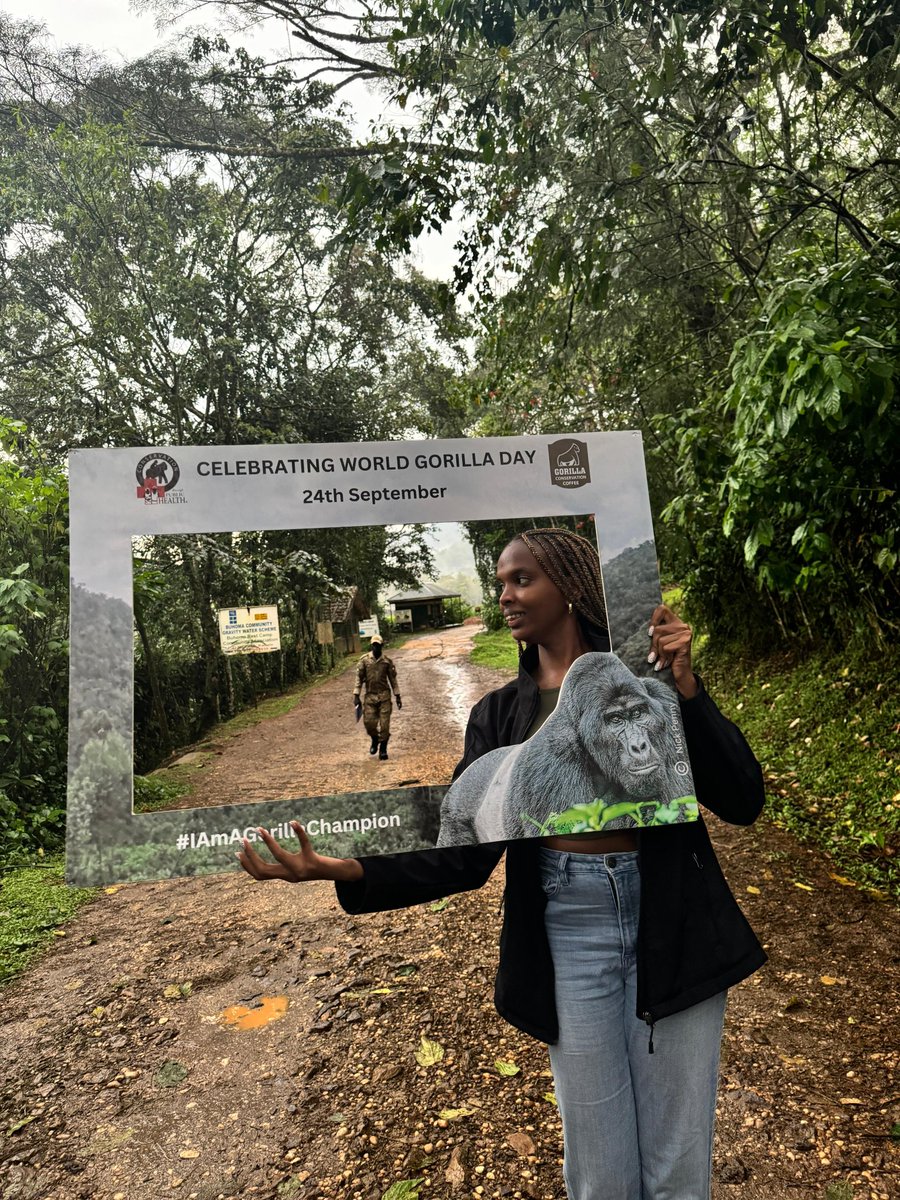 CTPHuganda's tweet photo. Our joint team of conservation stakeholders that was judging and coordinating the #WorldGorillaDay Quiz that took place yesterday at @ctph_camp visited @ugwildlife offices in Buhoma, Bwindi. It's evident that everyone is looking forward to tomorrow 

(1/2) https://t.co/Hj6OgxF7kN