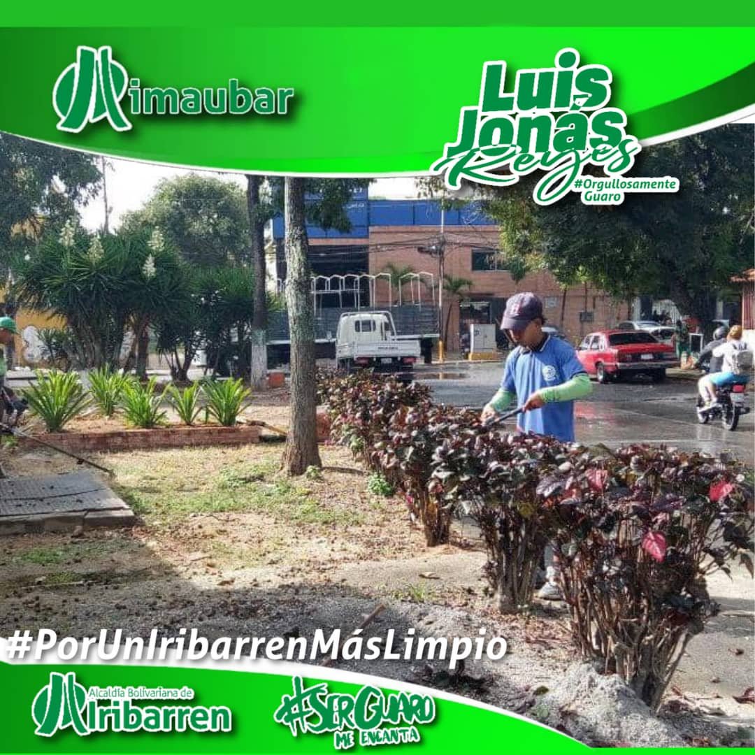 Imaubar (@imaubar) on Twitter photo #23Sep 💚🍃 PLAN CERO MALEZA trabaja en la Plaza Cecilia Labrador
juntos con <a href="/LuisJonasReyes/">Luis Jonás Reyes</a> y los #GuerrerosDeLaLimpieza
#OrgullososDeSerGuaros 💚 #23Sep 💚🍃 PLAN CERO MALEZA trabaja en la Plaza Cecilia Labrador
juntos con <a href="/LuisJonasReyes/">Luis Jonás Reyes</a> y los #GuerrerosDeLaLimpieza
#OrgullososDeSerGuaros 💚