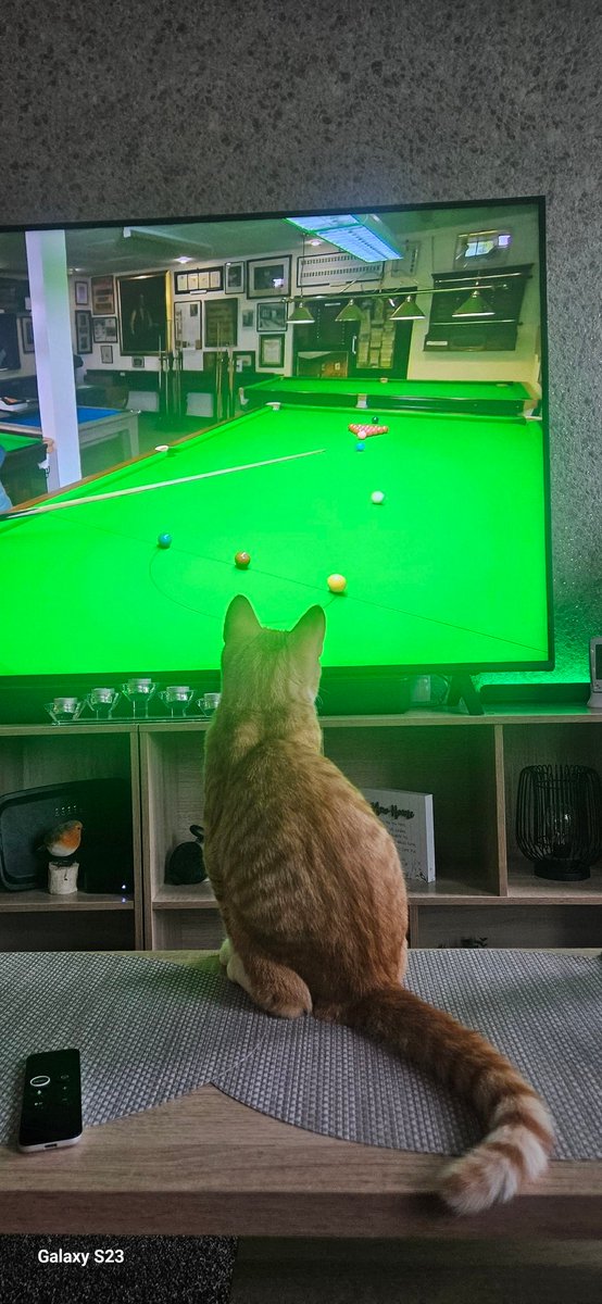 #flogit my cat Garfield loves the show lol <a href="/BBCOne/">BBC One</a>
