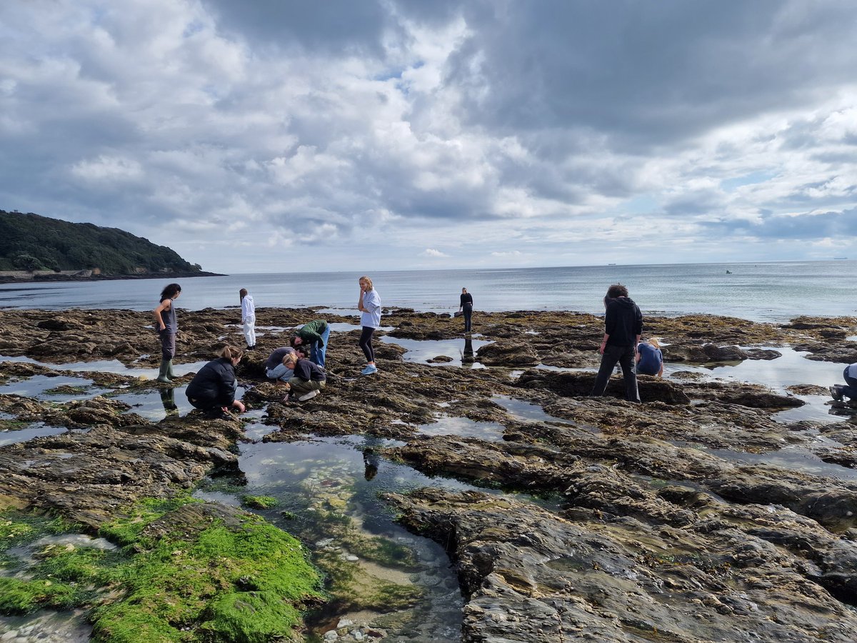 Day 1 for our first year Marine Biology students <a href="/UniExeCEC/">University of Exeter CEC</a> and they are out on the shore already, delving into rock pools and getting familiar with the local fauna. 🦀

@ExeterMarine #ExeterMarine