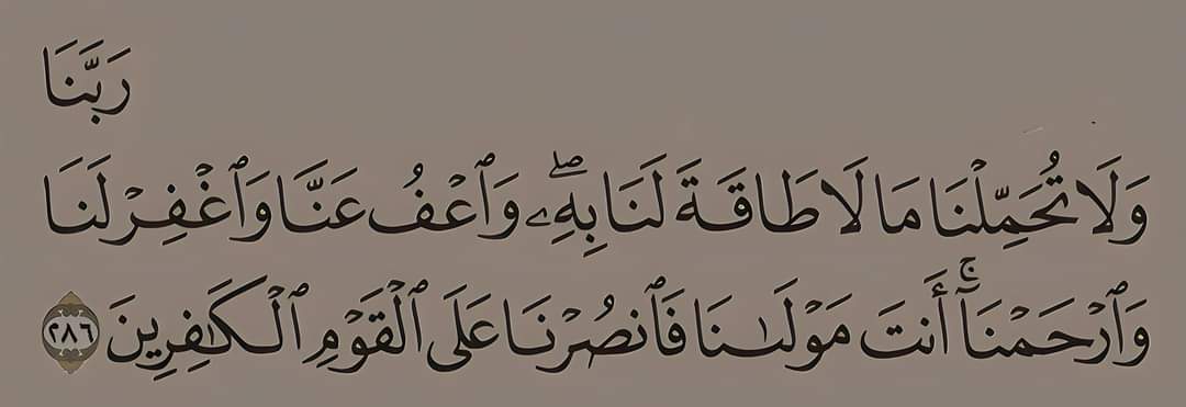 نُسَيبة (@nosaibayoussef) on Twitter photo 