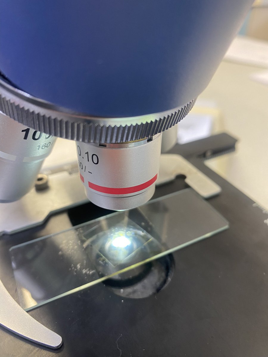 CharlotteAmyJen's tweet photo. Y9 Cell Biology- making onion and banana slides. So impressed with their skills! I still find taking microscope photos quite tricky!🔬@chatbiology #gcsebiology https://t.co/tNCRwdB6UQ
