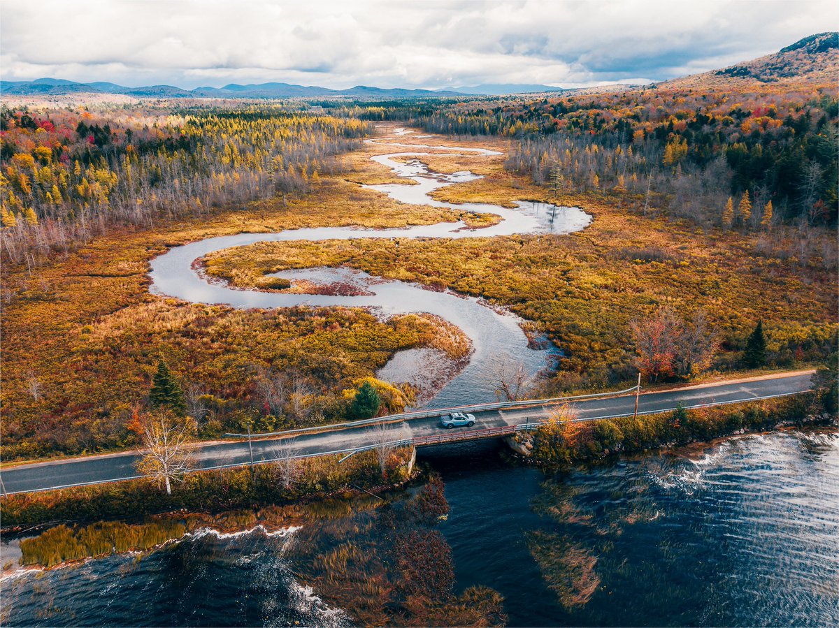 Nicole Zelkowitz tweet media