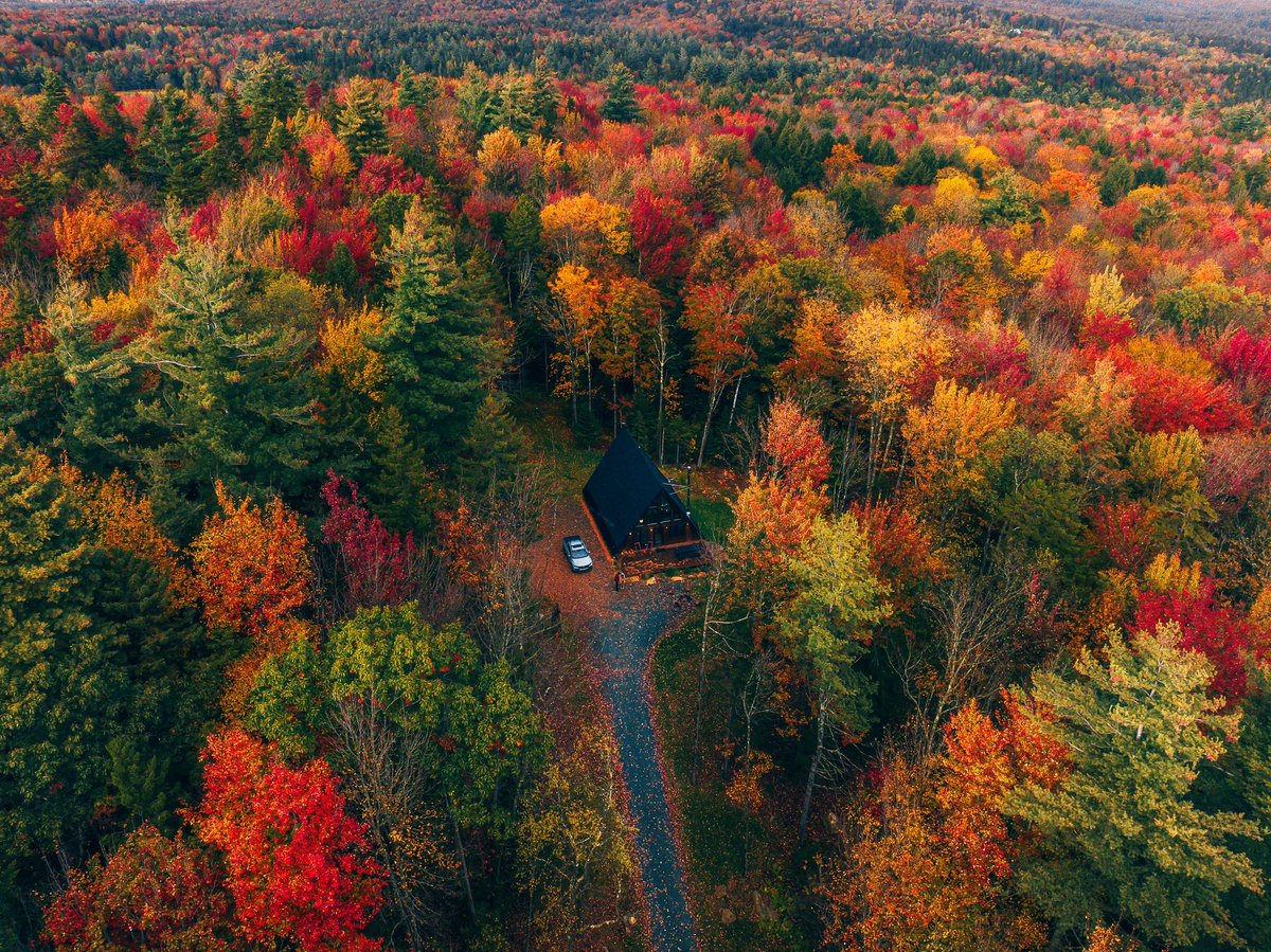 Nicole Zelkowitz tweet media