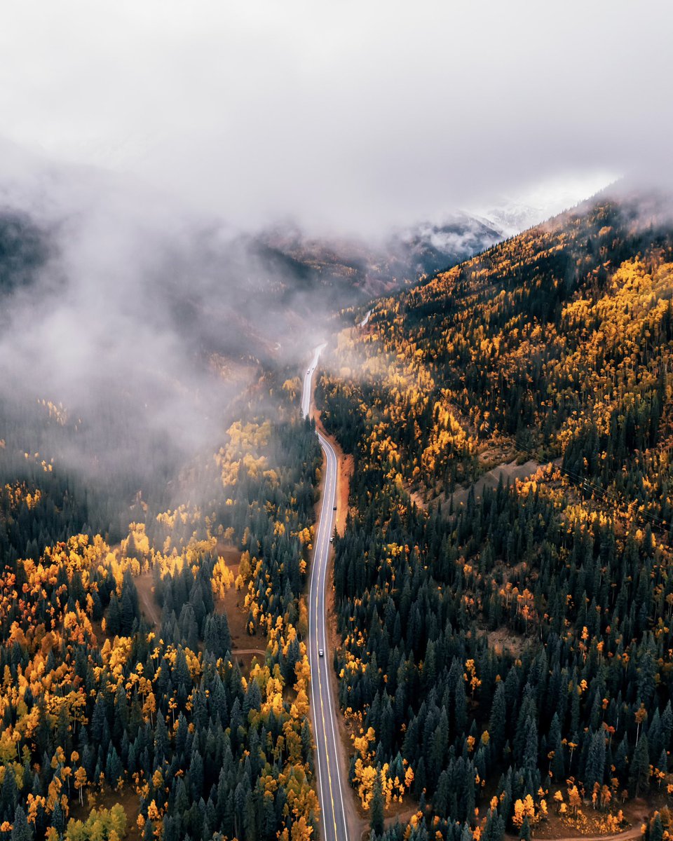 Nicole Zelkowitz tweet media