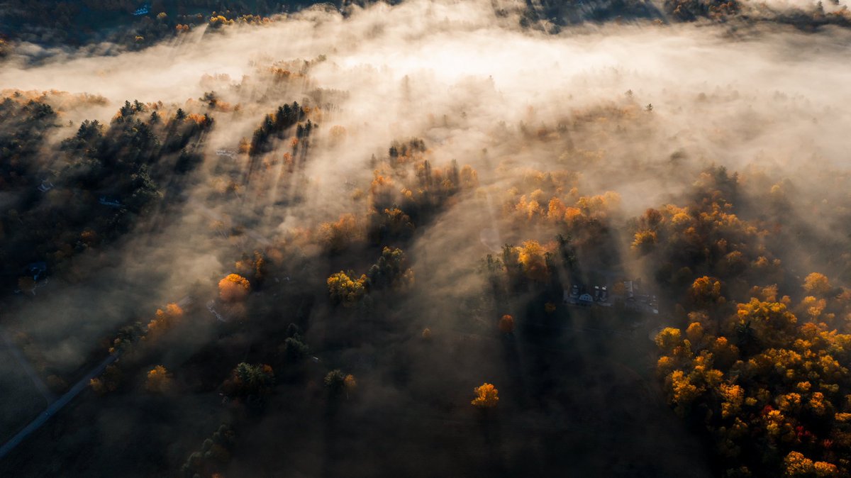 Fall moments with my <a href="/DJIGlobal/">DJI</a> Air 2S 🚁