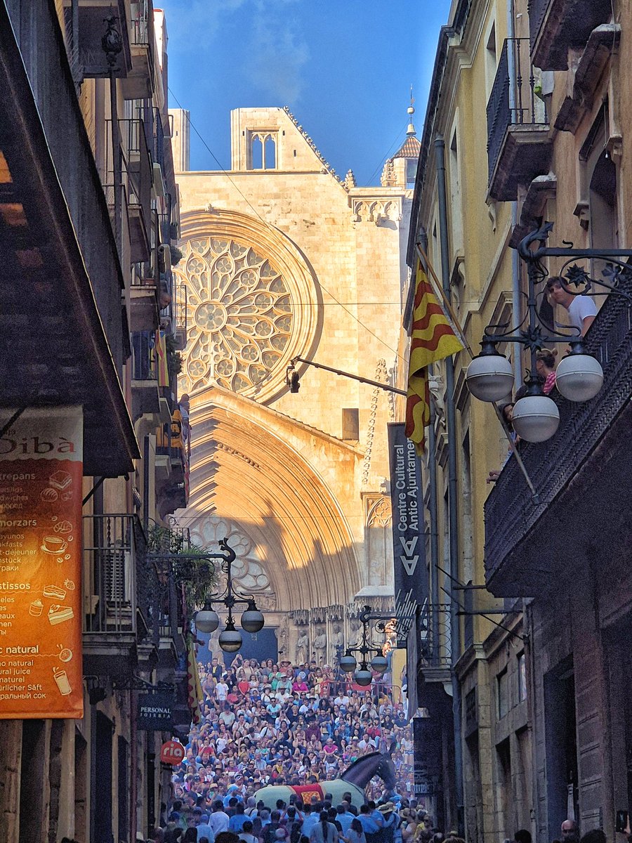 DavFolch's tweet photo. No voldria haver nascut enlloc més. 
#Tarragona #SantaTecla2024 https://t.co/EafZ9nXa96