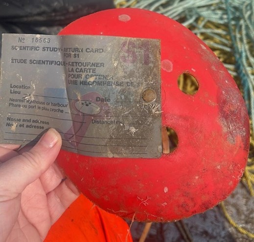 DFO_MAR's tweet photo. A drifting buoy was recently recovered by a fish harvester in Newfoundland and Labrador. 

It was determined that the drifter was released on October 3, 1960 in the Bay of Fundy, traveling in the ocean for 64 years!

Learn more: https://t.co/yeH79LldtN https://t.co/XkhdBbcaOL