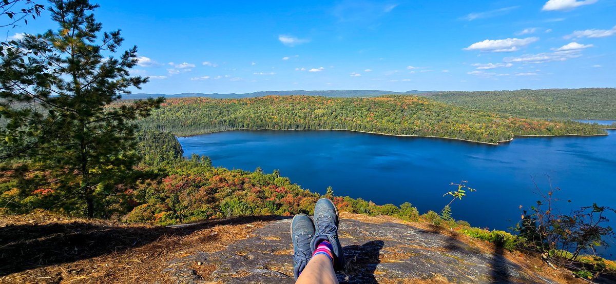 'Tis the season for #FallColours 😍🍁🍂! The stunning view from Helenbar Lookout Trail <a href="/MississagiPark/">Mississagi Park</a> <a href="/OntarioParks/">Ontario Parks</a> <a href="/elliotlake/">City of Elliot Lake</a> <a href="/AlgomaCountry/">Algoma Country</a> ❤️🧡💙💚 And it's #NationalForestWeek too! #FindYourselfHere #DiscoverON