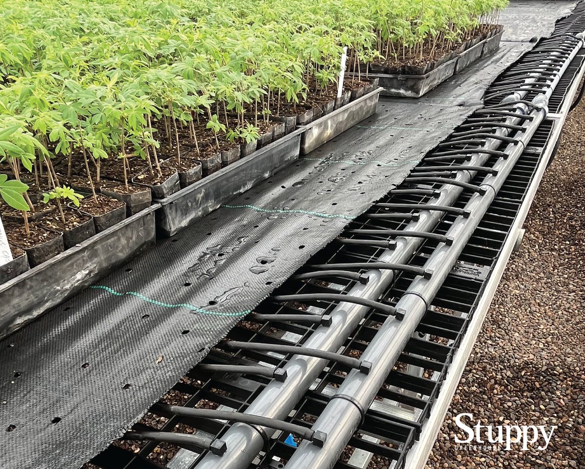 POV: where plants take a seat to grow and bloom! 🌿

#StrongerWithStuppy #CommercialGreenhouses  #HydronicHeat