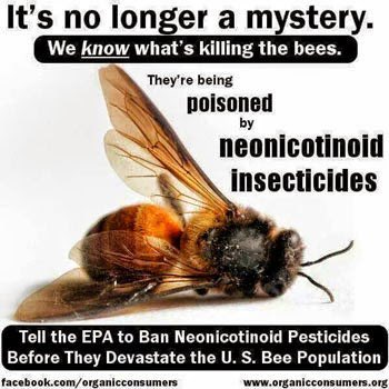 RCdeWinter's tweet photo. save the birds &amp; bees, please! https://t.co/2GuMYtbAbQ