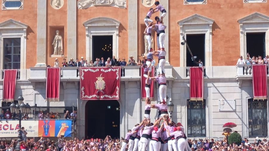 3CatInfo tweet media