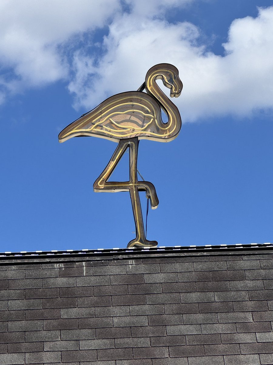 VIPTALENTENT's tweet image. The beautiful Brass Flamingo