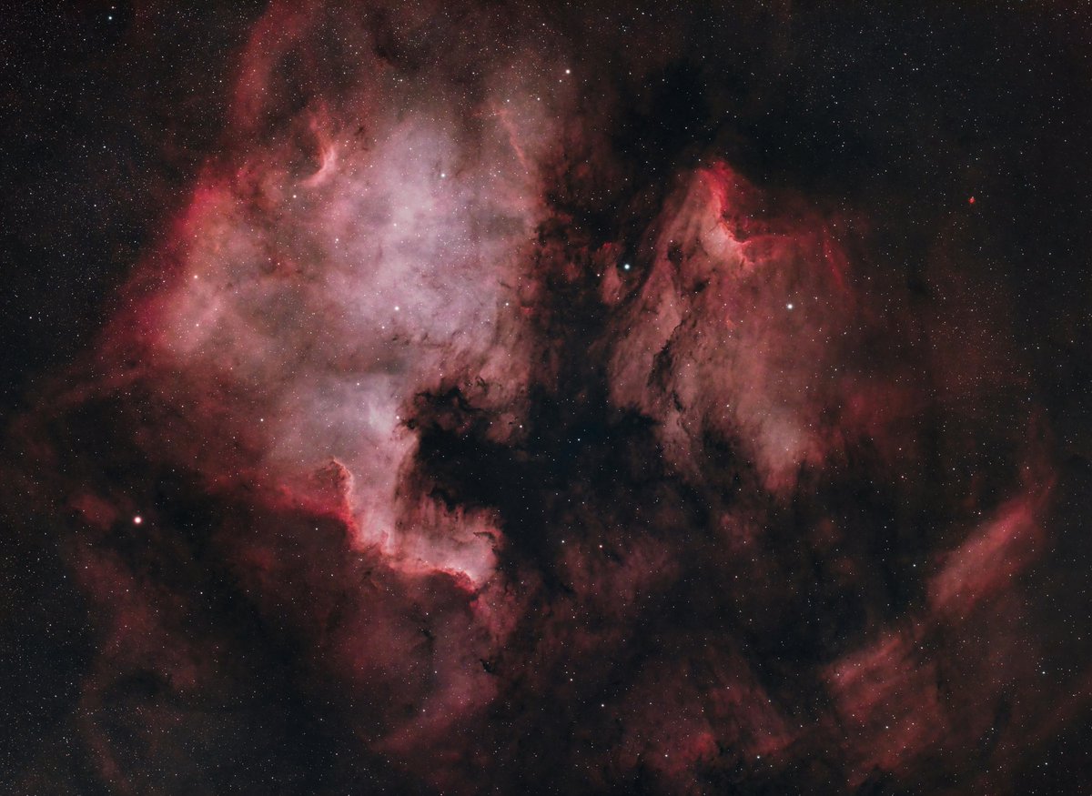 AstroBackyard's tweet photo. North America Nebula! 📷

Here is some fresh data using a new portable astrophotography kit that I will be testing over the next few months! The image includes the nearby 'Pelican Nebula' in Cygnus.

For this picture, I used a multi-bandpass narrowband filter (Optolong L-eNhance) to separate the bright hydrogen gas from the surrounding sky. It's a more dynamic image, but unfortunately, the natural colors of the stars and faint areas of dust are lost.

The skies have been smokey in the backyard lately, and this image could have benefitted from darker skies under better conditions.  Regardless, it feels good to get out there and image again 🙂

Camera: https://t.co/lQY99nolCZ
Telescope: https://t.co/fVxC9U7dLV
Mount: https://t.co/b3KsMB75jN

60 x 3-minutes (3 Hours Total)