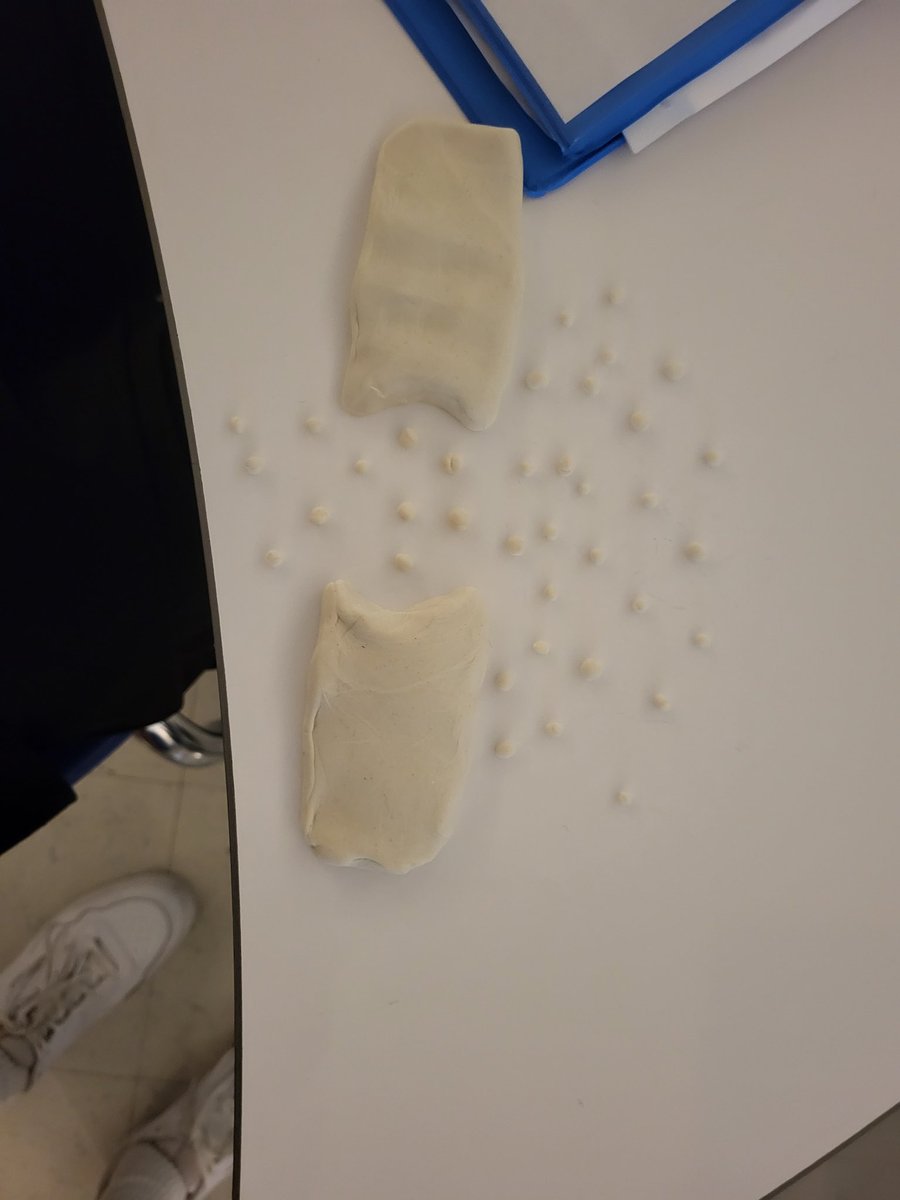 Kaitlyn Zoesch, M. Ed tweet media