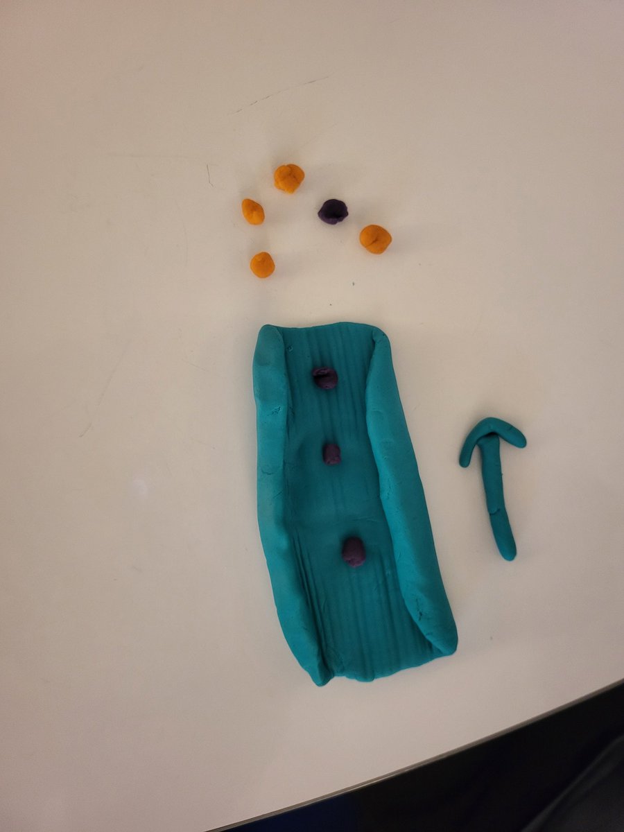 Kaitlyn Zoesch, M. Ed tweet media