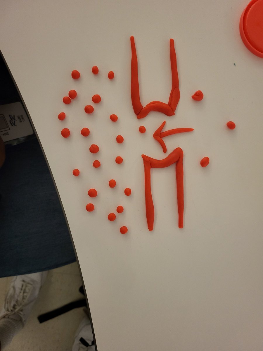 Kaitlyn Zoesch, M. Ed tweet media