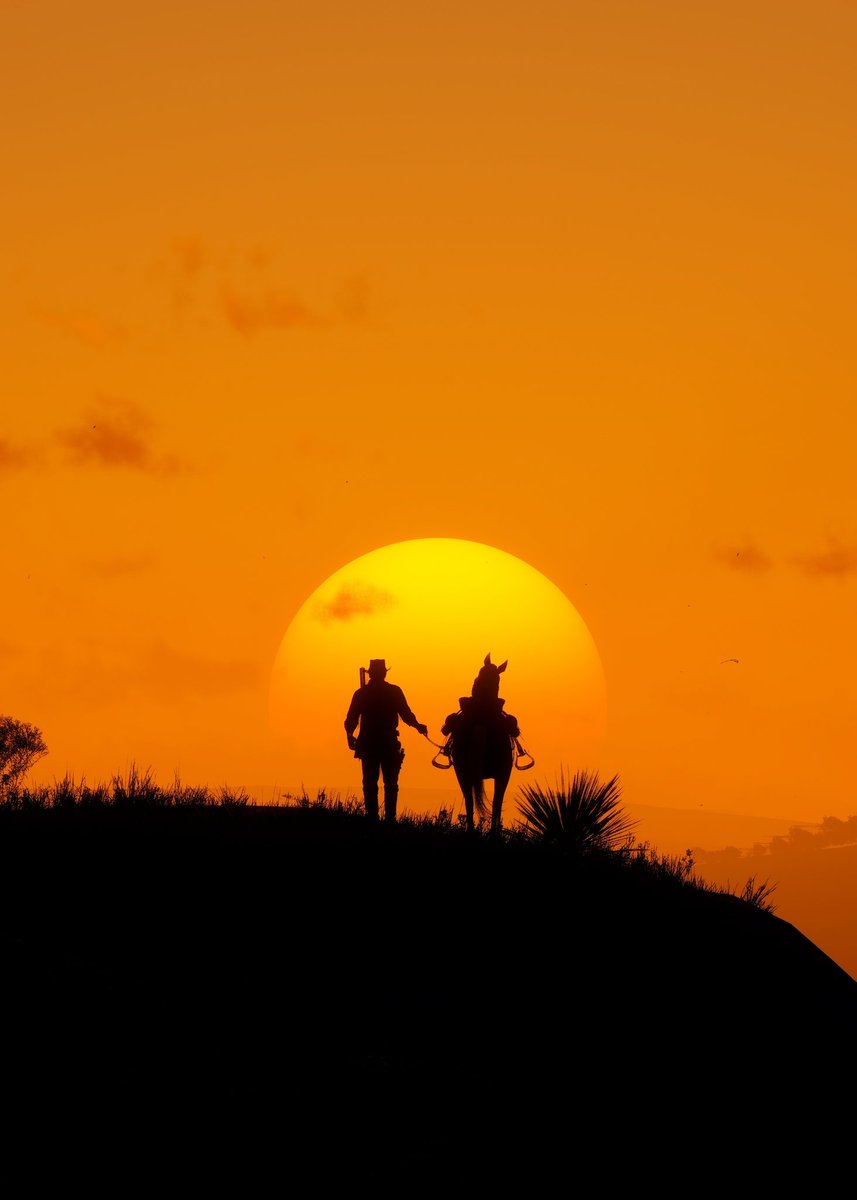 astroghost001's tweet image. #Silhouettes