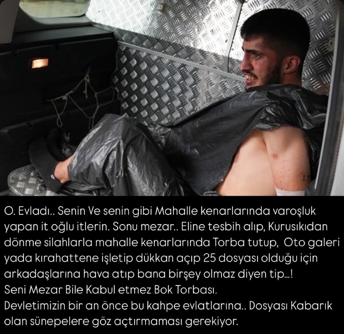 Selkabb 📊 (@selkabb) on Twitter photo 