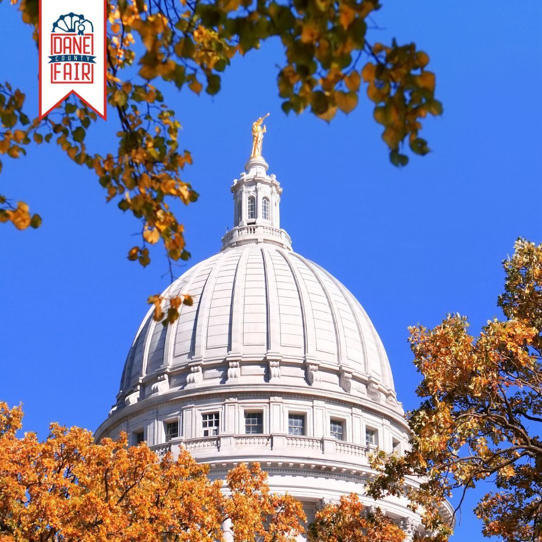 danecountyfair's tweet photo. Goodbye Summer! We had a blast this summer at the Dane County Fair and are already counting down the days until next year!

Youth Exhibitors! 📣 Start working on your Fair projects throughout the school year to showcase at the 2025 Fair - July 17-20! 

Hello Fall in Madison! 🍂🍁 https://t.co/srCovQrKCZ