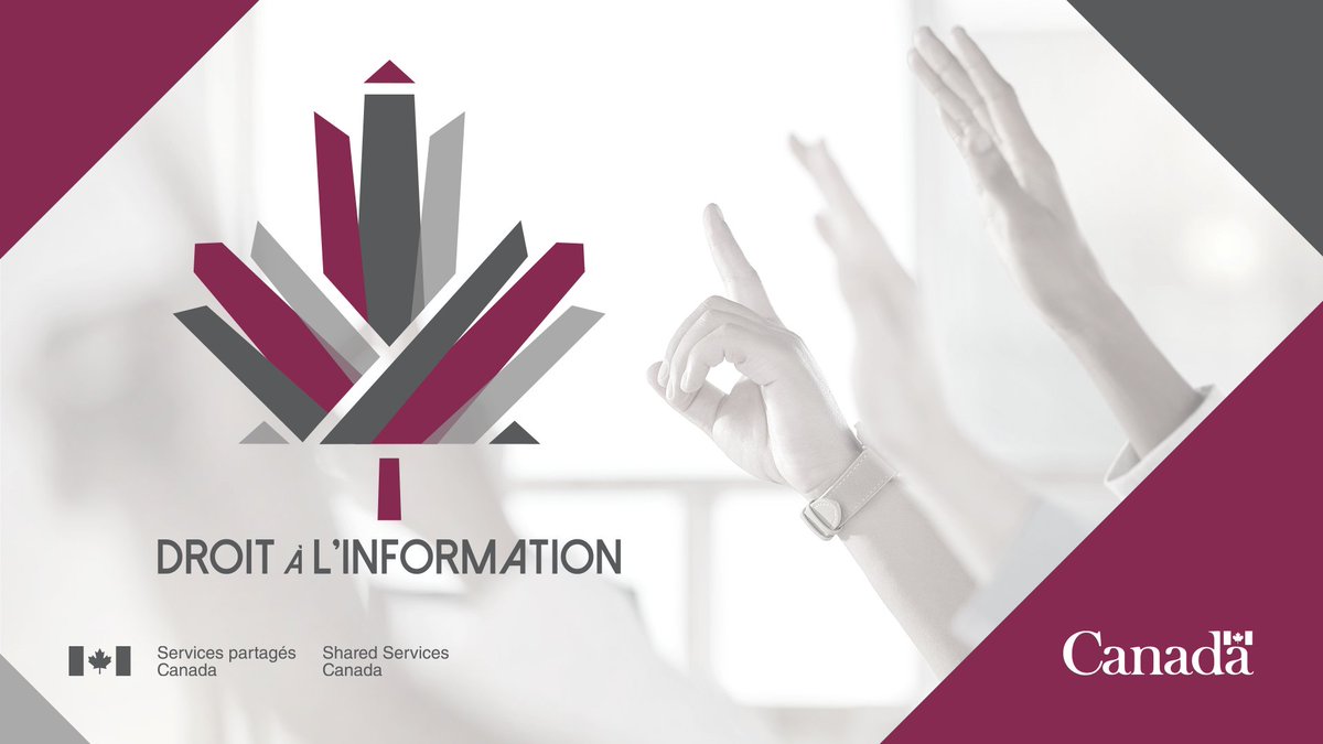Raj Thuppal (@pvp_spc) on Twitter photo #LSV? Au Canada, la Loi sur l’accès à l’information permet aux personnes et aux sociétés au pays de consulter les dossiers du gouvernement.  
En cette Semaine du #DAI2024, je vous encourage à vous renseigner sur la transparence au gouvernement : ow.ly/m55p50Ttq9M #LSV? Au Canada, la Loi sur l’accès à l’information permet aux personnes et aux sociétés au pays de consulter les dossiers du gouvernement.  
En cette Semaine du #DAI2024, je vous encourage à vous renseigner sur la transparence au gouvernement : ow.ly/m55p50Ttq9M
