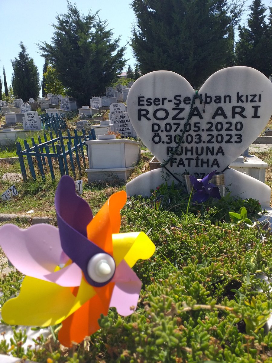 berfinhivdaasil's tweet photo. Bazı kavuşmalar yaşandı... 
@seribanari https://t.co/F6yBItqb37