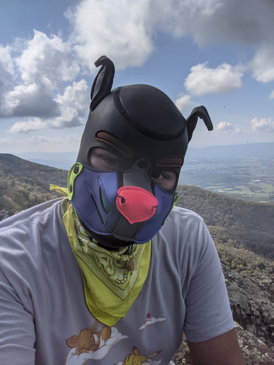 ColtynPhD's tweet photo. Hiking adventure pup 🐾🌲⛰ https://t.co/IHQy6sOo19