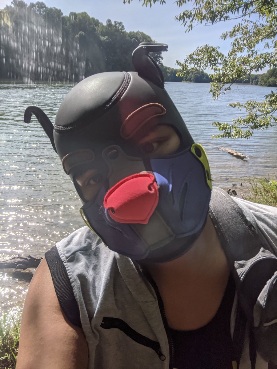 ColtynPhD's tweet photo. Hiking adventure pup 🐾🌲⛰ https://t.co/IHQy6sOo19