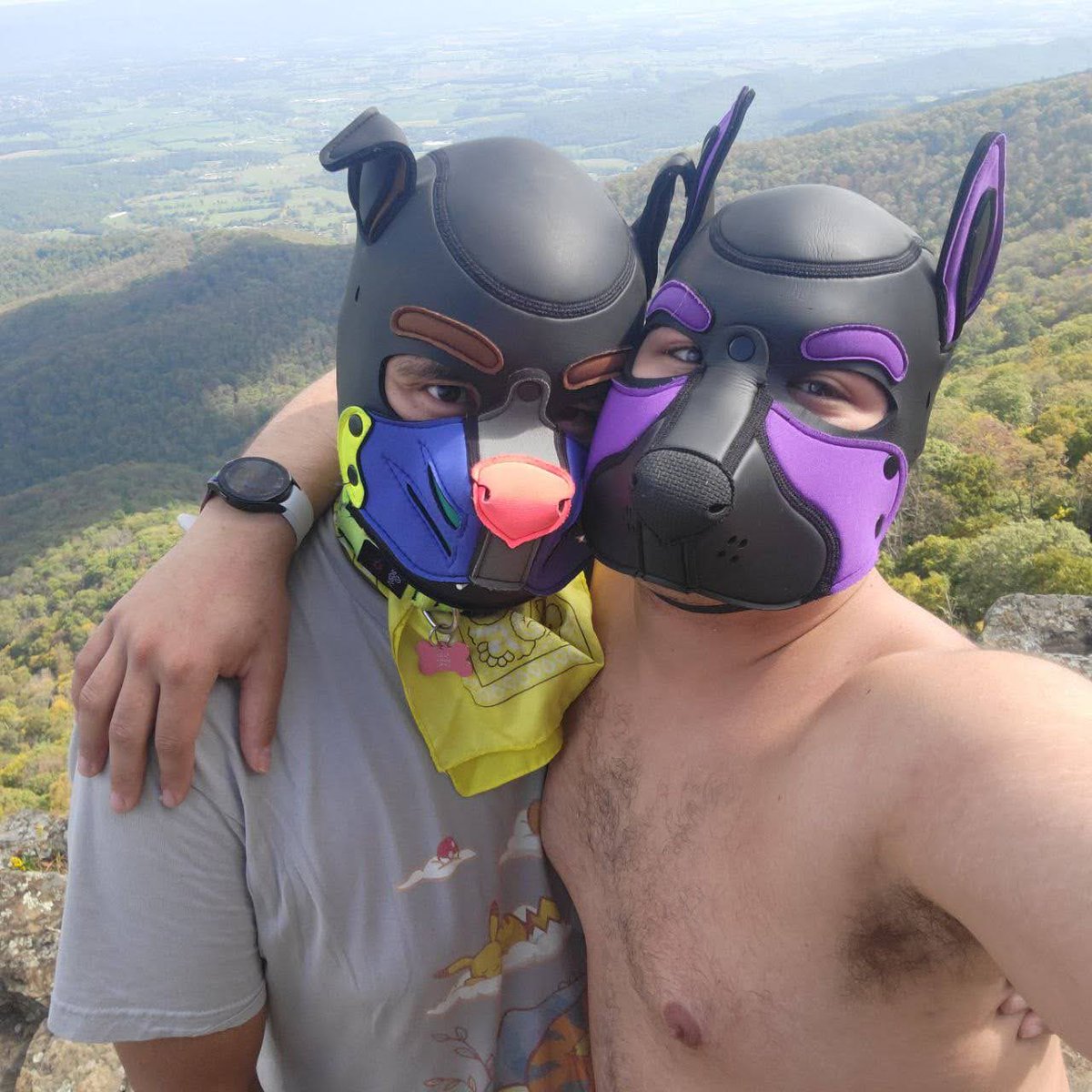 ColtynPhD's tweet photo. Hiking adventure pup 🐾🌲⛰ https://t.co/IHQy6sOo19