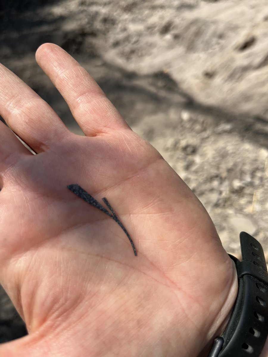 Louise Isager Ahl tweet media