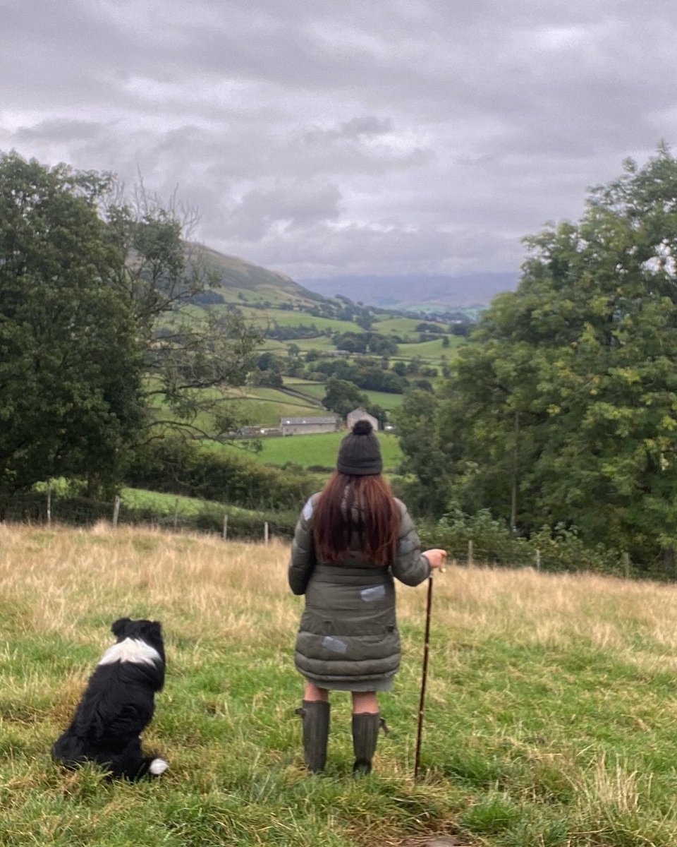 Alison O’Neill ~ Shepherdess tweet media