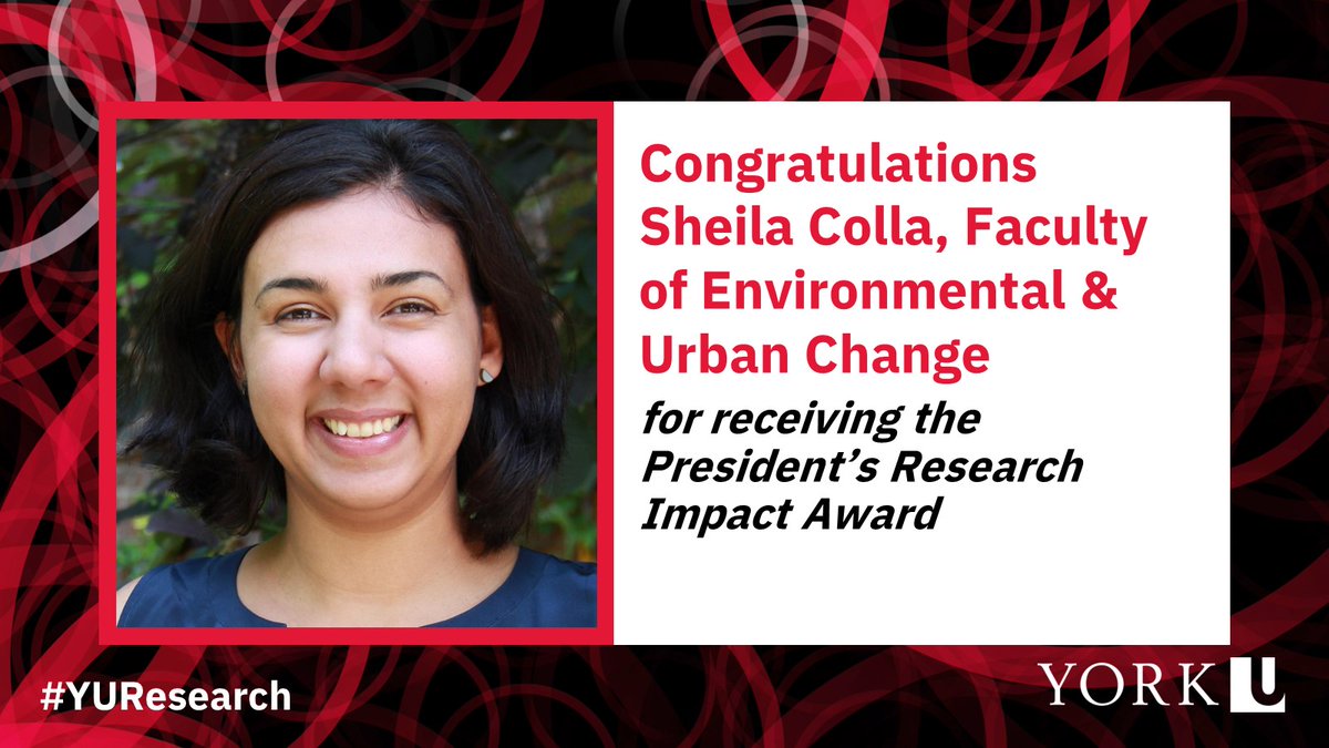 York U Research & Innovation (@yuresearch) on Twitter photo Congrats to <a href="/YorkUEUC/">Faculty of Environmental and Urban Change</a> conservation scientist Sheila Colla (<a href="/SaveWildBees/">Sheila Colla, Ph.D</a>) for winning the President's Research Impact Award!
The PRIA honours a faculty member whose research notably impacts communities, individuals & public policies.
bit.ly/47DRdv3
#YUResearch Congrats to <a href="/YorkUEUC/">Faculty of Environmental and Urban Change</a> conservation scientist Sheila Colla (<a href="/SaveWildBees/">Sheila Colla, Ph.D</a>) for winning the President's Research Impact Award!
The PRIA honours a faculty member whose research notably impacts communities, individuals & public policies.
bit.ly/47DRdv3
#YUResearch