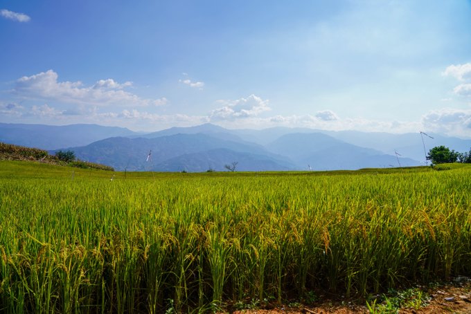 China__All's tweet photo. Starting Monday, the public can access online information about permanent basic farmland, enabling them to verify cultivated land and report illegal activities, such as unauthorized changes. This initiative is led by the Ministry of Natural Resources.
https://t.co/o6ScI2ylS6 https://t.co/FjhPkkCkog