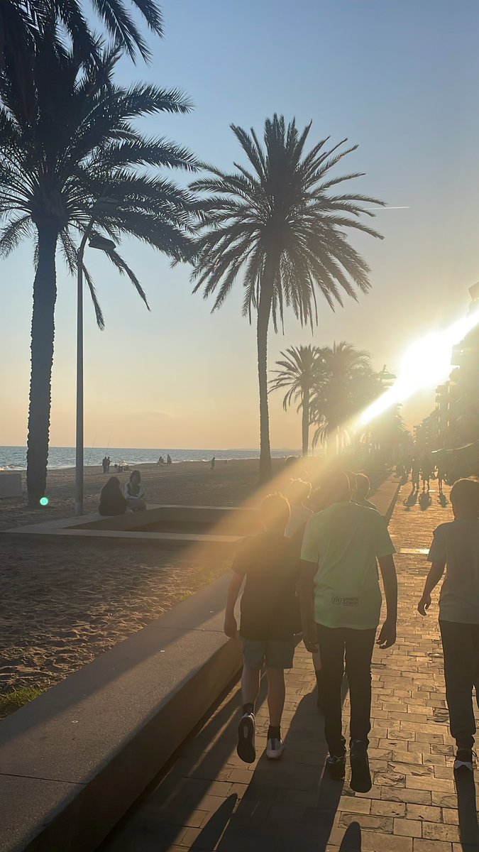 Lovely walk before dinner 🌅