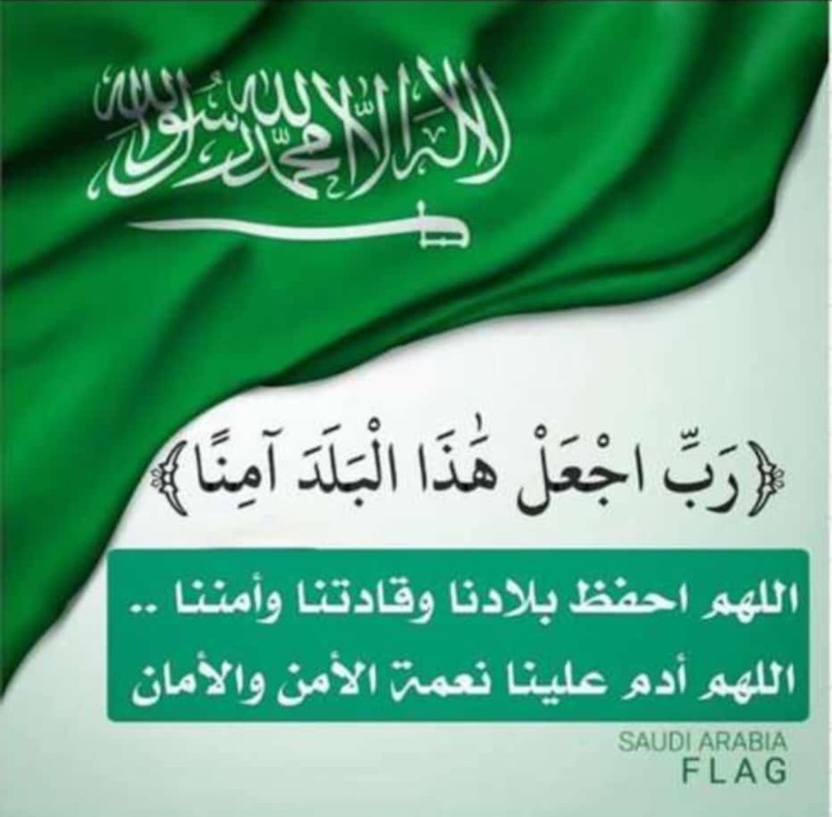 almasaodi2002's tweet photo. #اليوم_الوطني_السعودي_94 https://t.co/RwFCrJeH8U