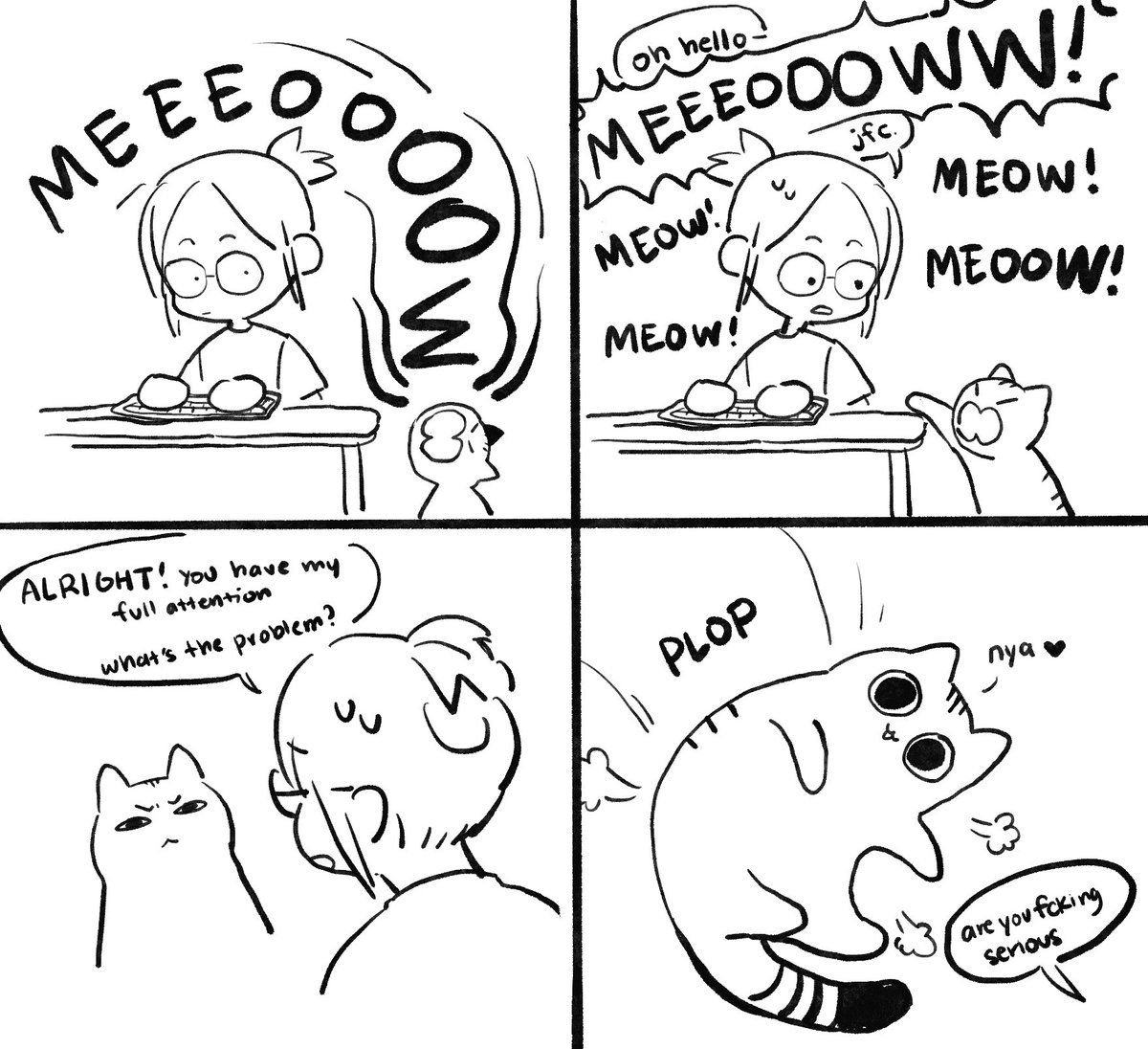 Hikazio's tweet image. My cat 🤦🏻‍♀️