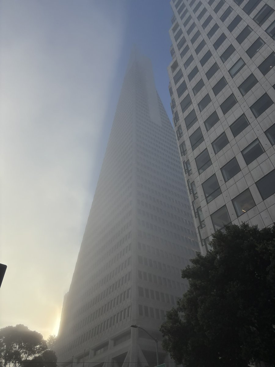 foggy morning in the city