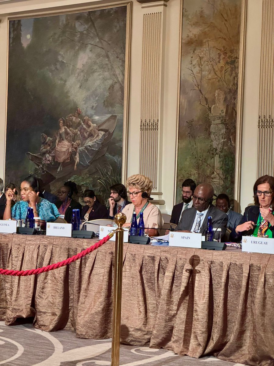 Ambassador Geraldine Byrne Nason tweet media