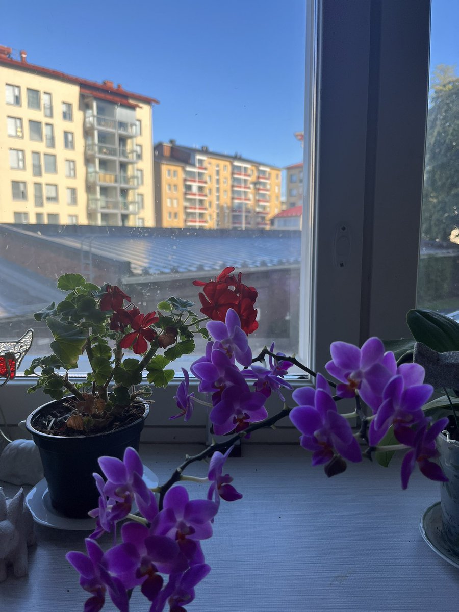 Aika läheisten kanssa on kallisarvoista. Äitini muutti yksiöön leskeksi jäätyään.
Olin hänen luona yötä patjamajoituksella. Niin arvokkaita ja aitoja keskusteluita kävimme ennen nukkumaan menoa. Muistakaa viettää aikaa tärkeiden ihmisten kanssa ❤️