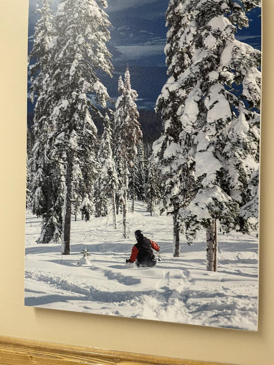 Pippa Moore tweet media