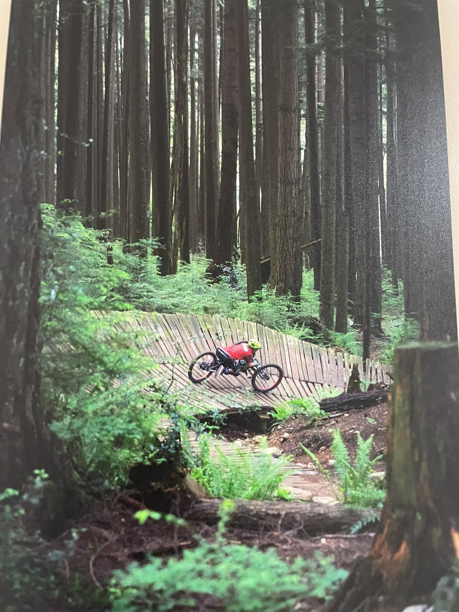 Pippa Moore tweet media