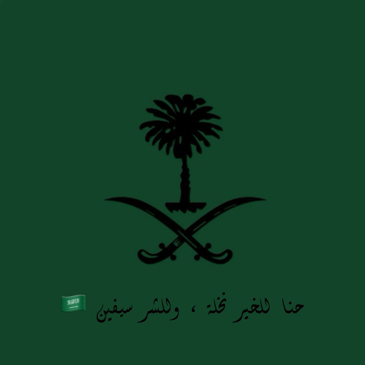 _reem_10_'s tweet photo. #اليوم_الوطني_السعودي_94 https://t.co/l8CzqiWKy7