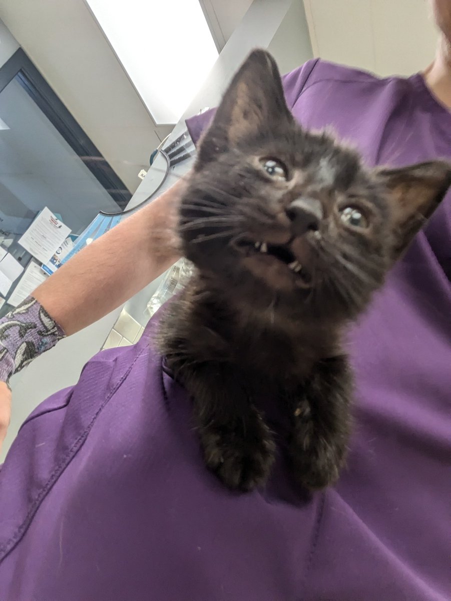 clockwork_worm's tweet image. It's usually about Him