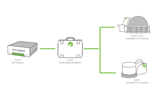 Kate Martin tweet media
