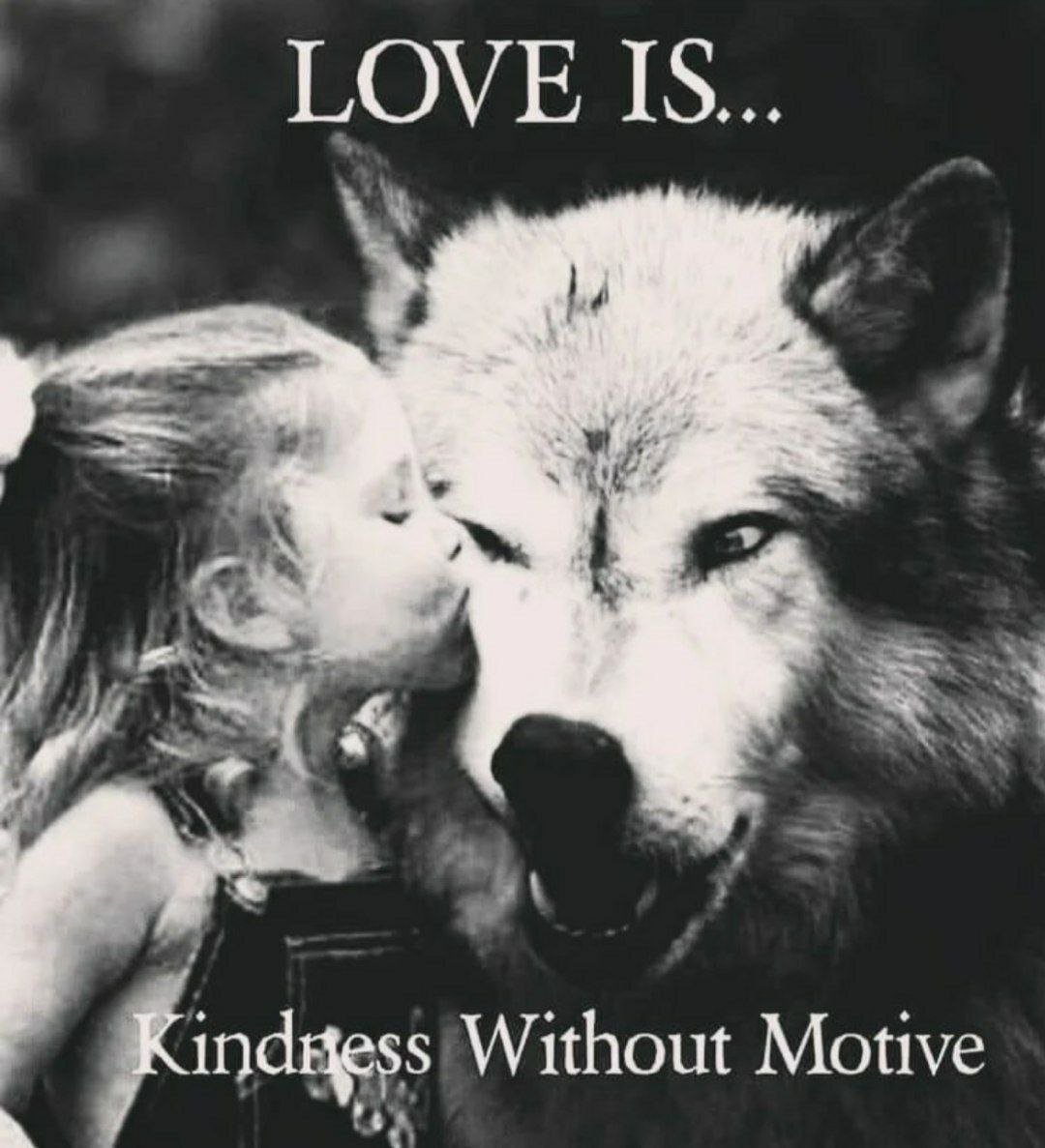✅ Unconditional Love❗️🎶🎶🎶💜💜💜