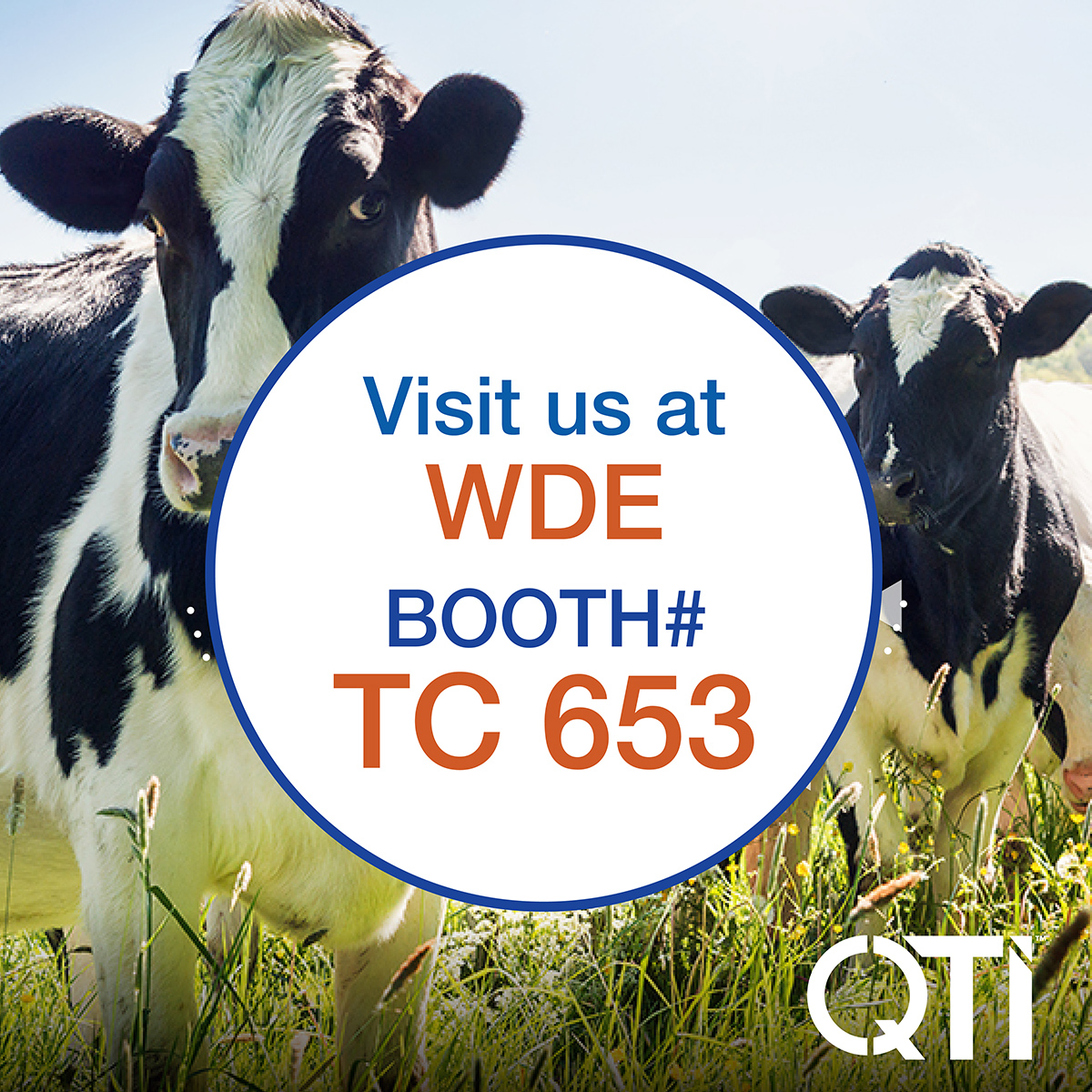 QualTechInt's tweet photo. October isn't too far away, which means World Dairy Expo is quickly approaching. QTI will be attending! Will we see you there? Make sure to look for us at Booth #TC653.

#WDE2024 #dairy #dairyfarmers #dairyfarming #agriculture #animalhealth https://t.co/uzgAYhNDk4